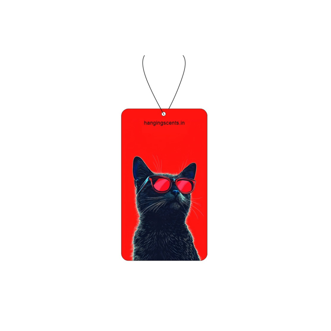 Hangiing scents air freshener . Inspired by 'BURBERRY WEEKEND'